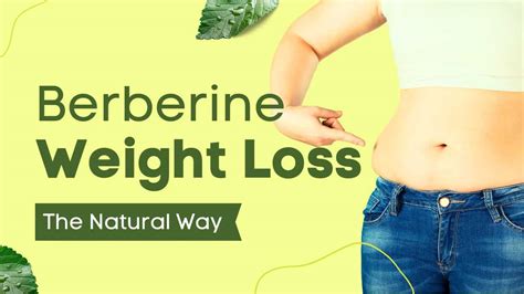 does berberine help with weight loss